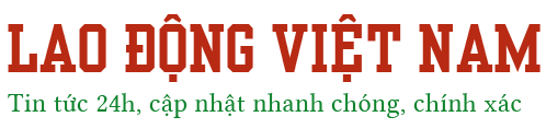 Lao động Việt Nam